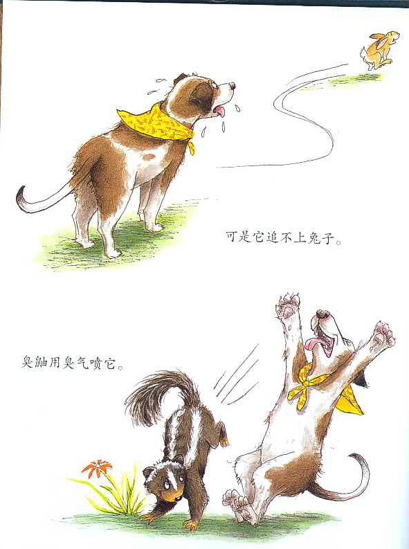 像狼一样嚎叫 (08),绘本,绘本故事,绘本阅读,故事书,童书,图画书,课外阅读